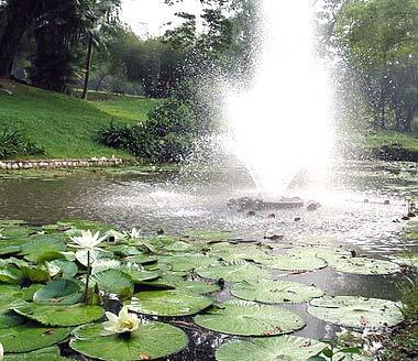 KL Lake gardens